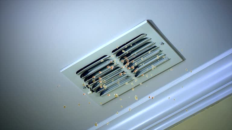 Best Best Air Duct Cleaning Company  in Waukon, IA