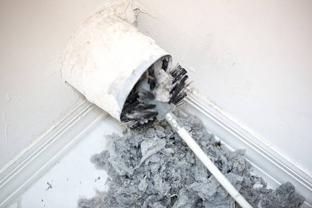 Best Air Duct Cleaning Near Me  in Waukon, IA