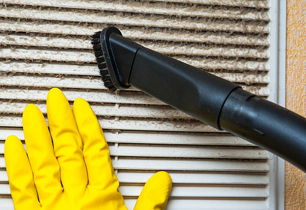Best Dryer Vent Cleaning Services  in Waukon, IA